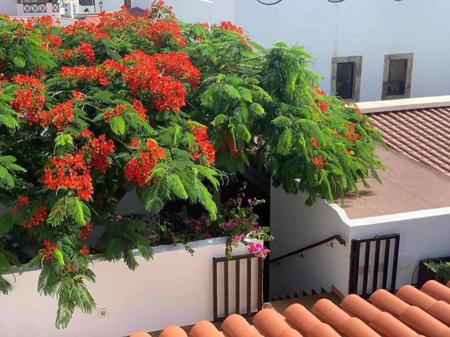 Holiday home Garoe Puerto de Las Nieves